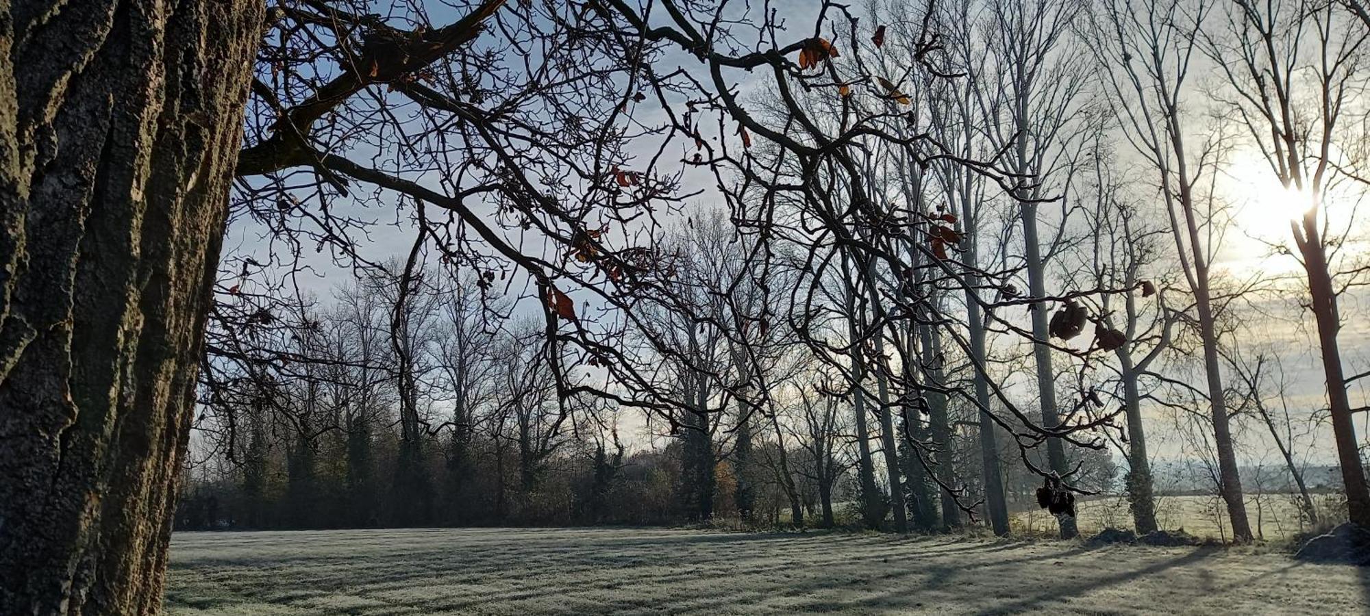 Hermelgemhoeve - Zonnebloem Zwalm Esterno foto