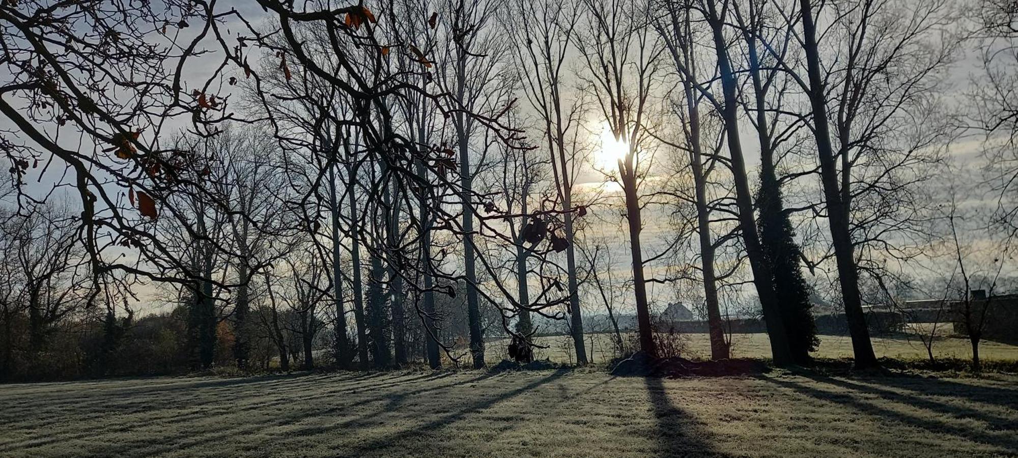 Hermelgemhoeve - Zonnebloem Zwalm Esterno foto