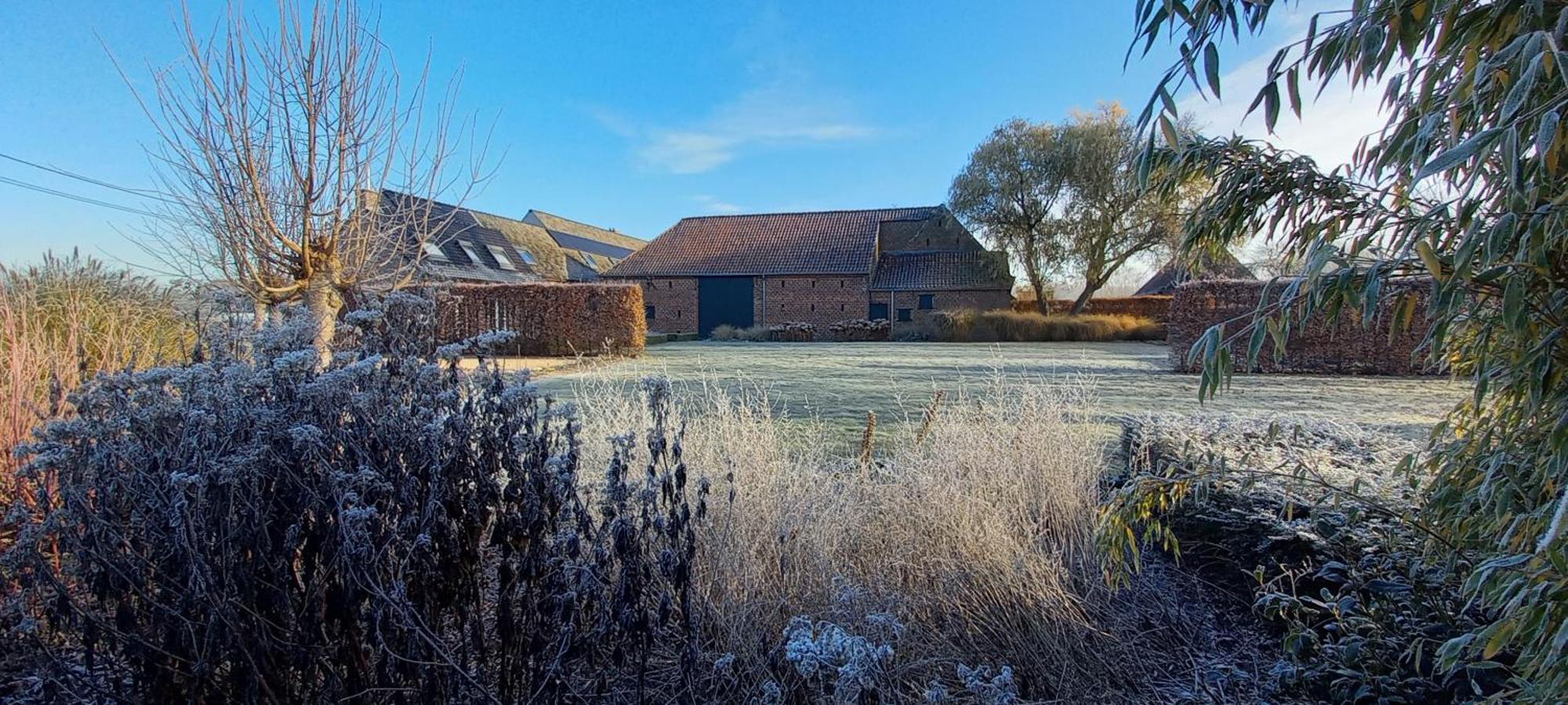 Hermelgemhoeve - Zonnebloem Zwalm Esterno foto